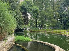 -成都市活水公园