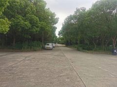 -胜华驾校·小猫学车(银都店)