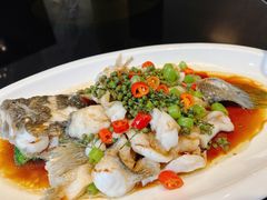 -金汇酒楼(中山东区店)