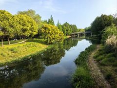 -贡湖湾湿地公园