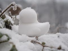 -九峰山