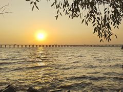 -宝安西湾红树林湿地公园