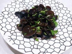 养身小木耳-蝶园·装修中(BFC外滩金融中心店)