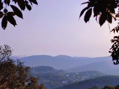 -桃花岭景区