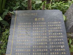 -观澜山水田园