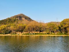 -八卦田遗址公园