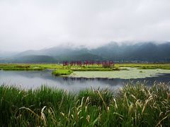 -腾冲北海湿地