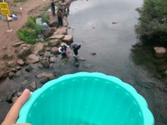 -重庆彩云湖湿地公园