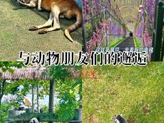 -西霞口神雕山野生动物世界