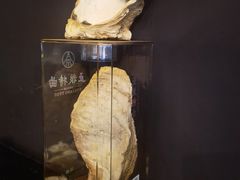 -土蚝·高压锅生蚝(百姓美食街店)