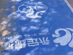 -绿堤公园