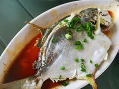 -七鲜渔港美食餐厅(巽寮湾海景店)