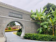 -宝安西湾红树林湿地公园