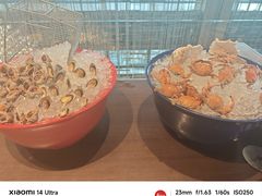 -君悦酒店·乐厨·高空自助餐(青年大街店)