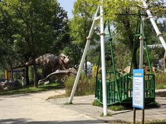 -西部长青自然儿童乐园