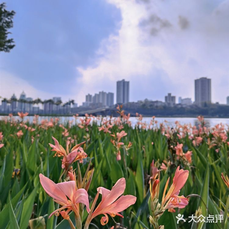 广西边境六天五夜自驾游（2）：第一天，南宁集结。