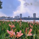 广西边境六天五夜自驾游（2）：第一天，南宁集结。