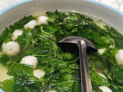 -丁老爷子苏香圆