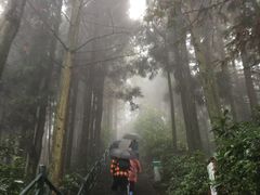 -井冈山风景名胜区