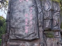 -东莞市大岭山森林公园
