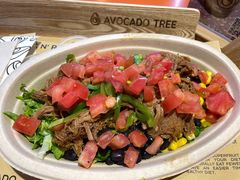 -油梨树AVOCADO TREE(嘉里中心店)