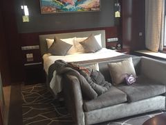 -常州环球恐龙城维景国际大酒店