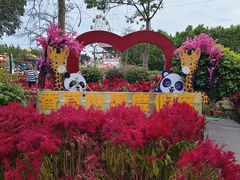 -广东花都香草世界旅游度假区