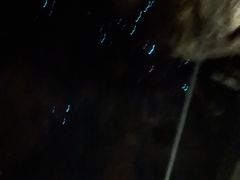 -怀托摩萤火虫洞