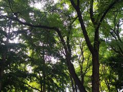 -玲珑塔公园
