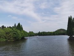 -鲁镇