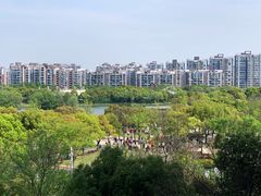 -新江湾城公园