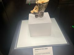 -四川大学博物馆