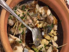砂锅焗东江鱼-围龙屋客家食府(福田店)