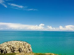 -青海湖国家重点风景名胜区