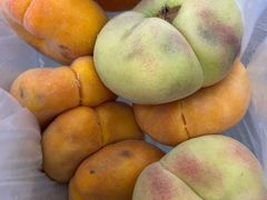 -新疆红山干果市场