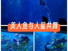 -太平洋海底世界