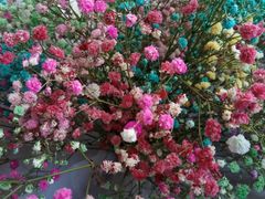 -清真老铁家灌汤包