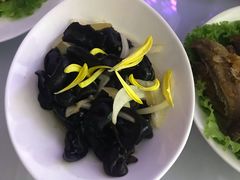 -星光影视园