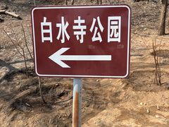 -白水寺森林公园