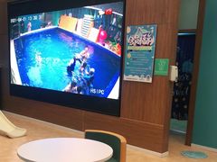 -Swim斯卫姆国际儿童游泳中心(红博中央公园店)