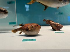 -天津自然博物馆