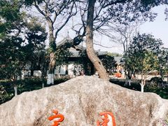-江心屿景区