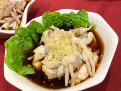 涼拌蟶子-老吉士酒家(天平路店)