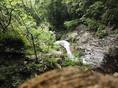 -梧桐山风景名胜区