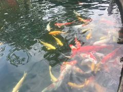 -湖鲜楼