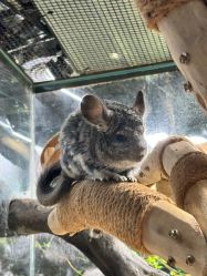 -Zoolung Zoolung动物主题公园(海信广场店)