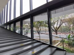 -四川大学博物馆