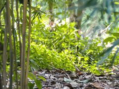 -白鹭湾湿地公园