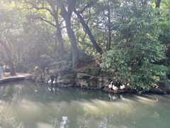 -兰亭风景区