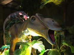 -恐龙探索乐园(磁器口店)